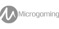 MasterCard partner logo